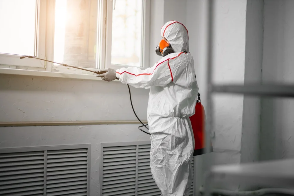 Professional mold remediation services in Bellville, TX